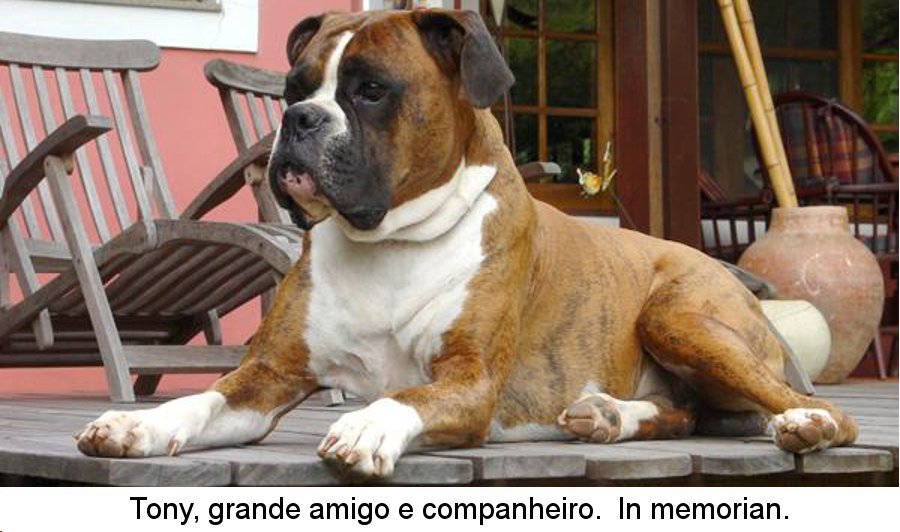 Tony Antonio